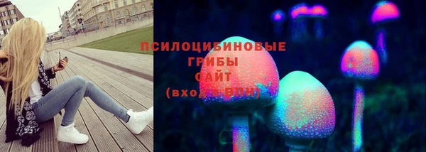 МДПВ Кукмор