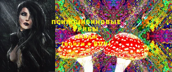 МДПВ Кукмор