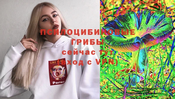 apvp Куйбышев