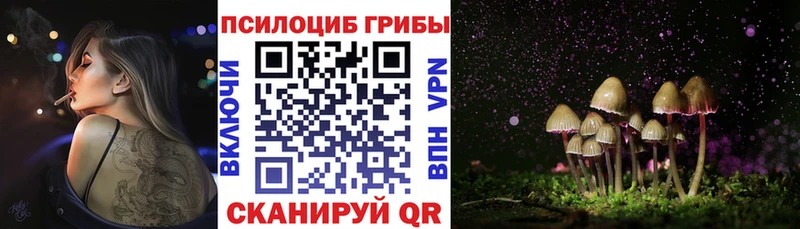 Купить закладки  Новосибирск  Псилоцибиновые грибы прущие грибы 